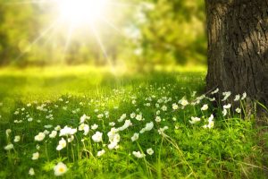 Common causes of light sensitivity and how to manage it